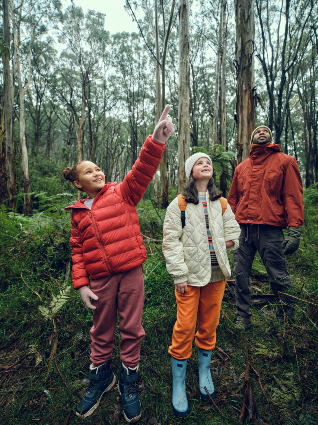 An image of kids in the bush pointing at a tree